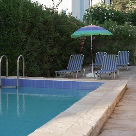 The Olive Grove Villa Plános Dış mekan fotoğraf